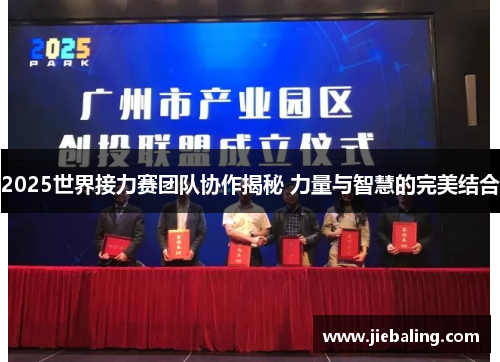 2025世界接力赛团队协作揭秘 力量与智慧的完美结合